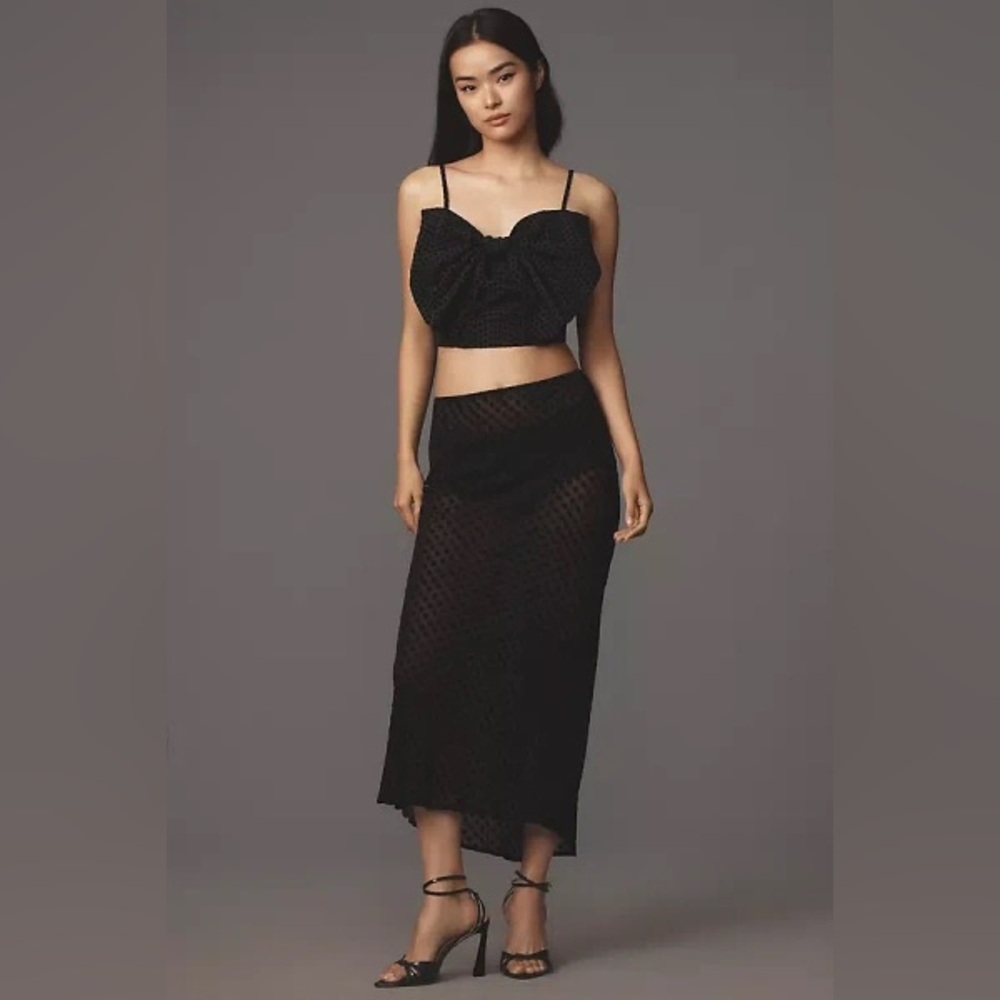 Anthropologie Tilda Sheer Maxi Skirt - Black Velvet Polka Dot - New with Tags